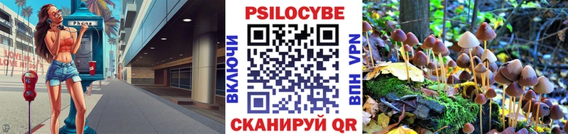 Псилоцибиновые грибы мицелий  закладки  Власиха 